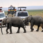 amboseli-park-tyour