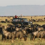maasai-marara