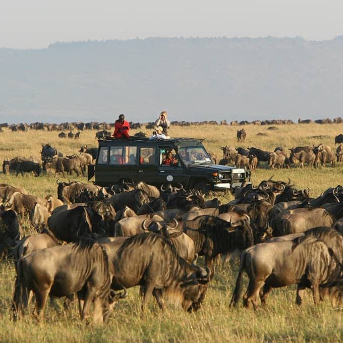maasai-marara