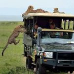 masai-mara-game-drive