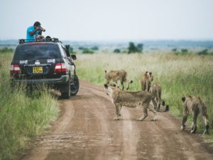 nairobi-national-park