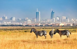 nairobi-park-wildlife-scene
