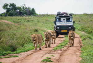 4x4-kenya-safari