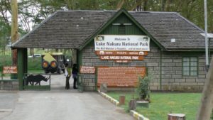 nakuru-national-park