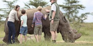 ol-pejeta-rhino-safari