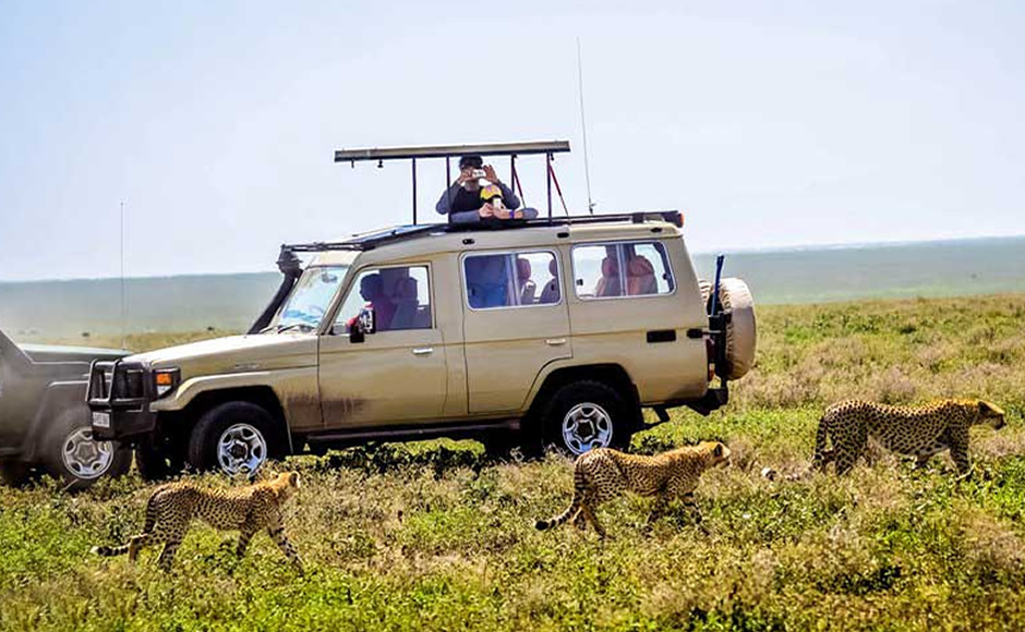 4x4-kenya-in-land-cruisers