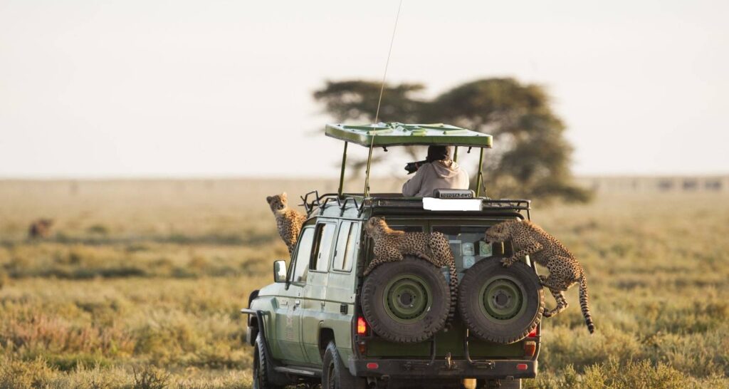 safari-land-cruiser-kenya - Rent A Driver Kenya