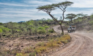 samburu safari by road