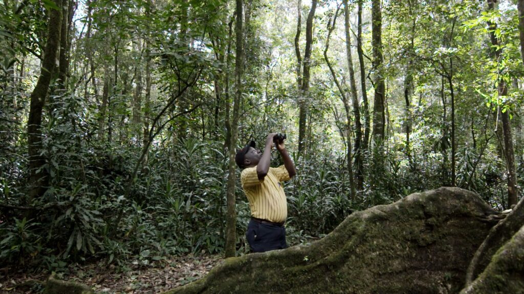 kakamega forest - hidden gems of Kenya